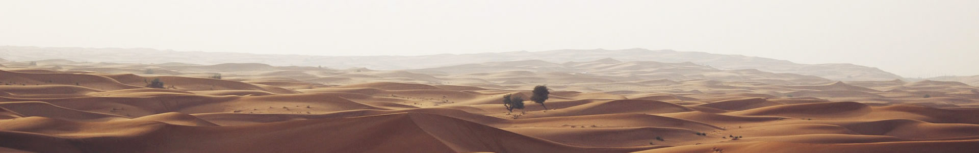 ӢܿƼ޹˾
